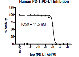 Anti-PD-L1 (CD274) Neutralizing