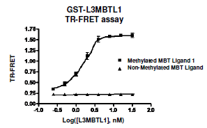 L3MBTL1 TR-FRET Assay Kit
