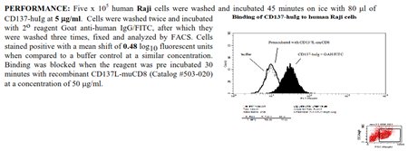 CD137 -huIg Fusion Protein, (human)