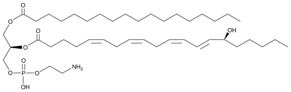 1-Stearoyl-2-15(S)-HETE-sn-glycero-3-PE