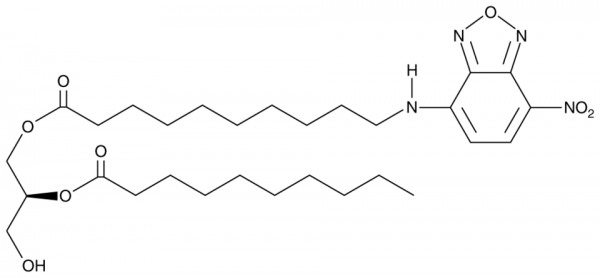 1-NBD-decanoyl-2-decanoyl-sn-Glycerol