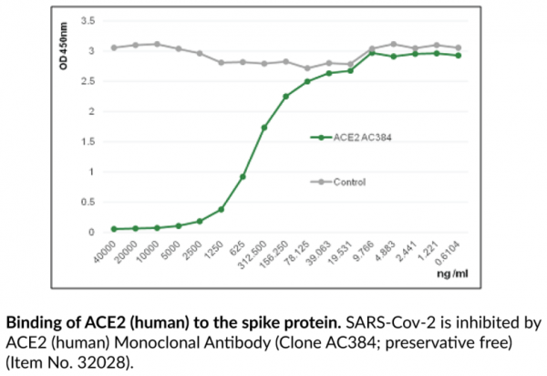 Anti-ACE2 (human) (Clone AC384, preservative free)