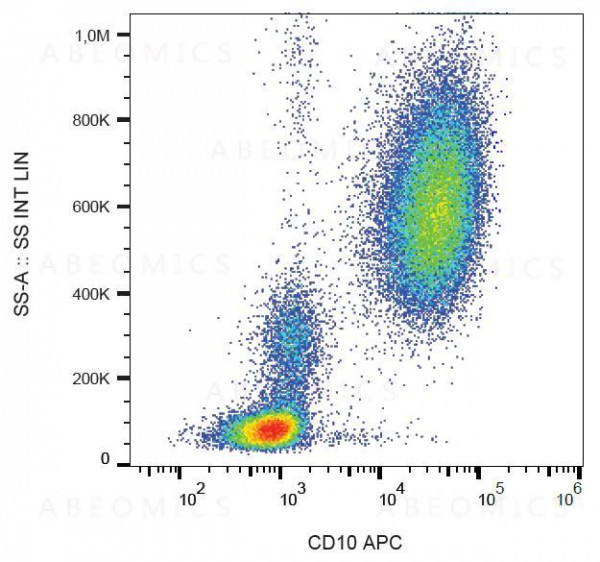 Anti-CD10 / CALLA Monoclonal Antibody (Clone:MEM-78)