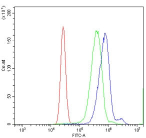 Anti-SENP1