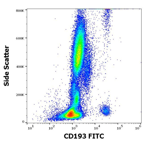 Anti-CD193 / CCR3 (FITC), clone 5E8