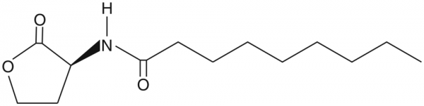 N-nonanoyl-L-Homoserine lactone