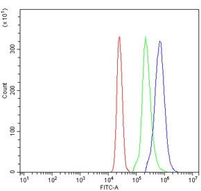Anti-Dectin 1 / CLEC7A
