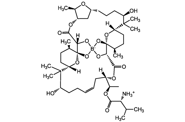 Boromycin