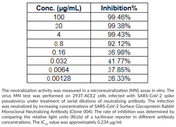 Anti-SARS-CoV-2 Surface Glycoprotein Rabbit Monoclonal Neutralizing (Clone 004)