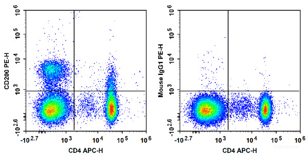 Anti-Human CD200, PE conjugated, clone OX-104
