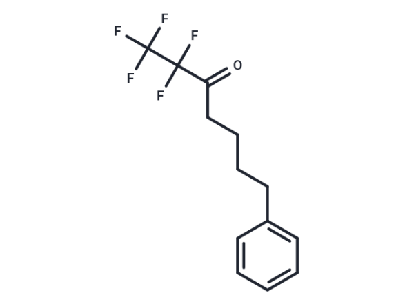 FKGK11