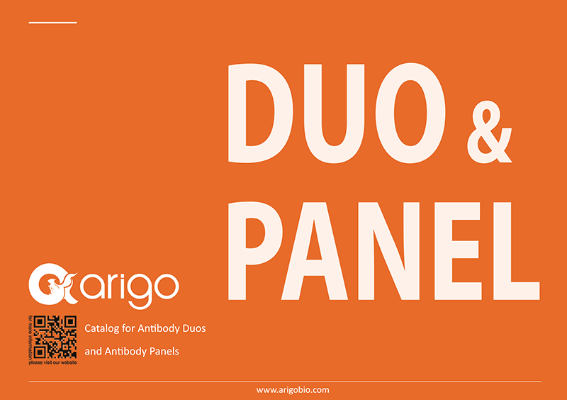 Arigo Antibody Duos and Panels