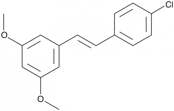 PDM 11