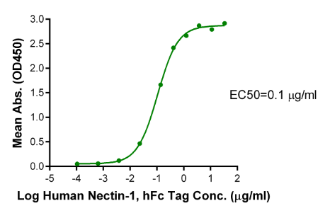Nectin-4, His, Mouse