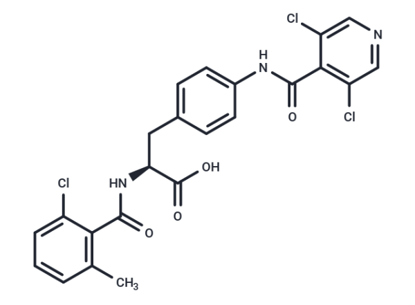 RO-02-70608