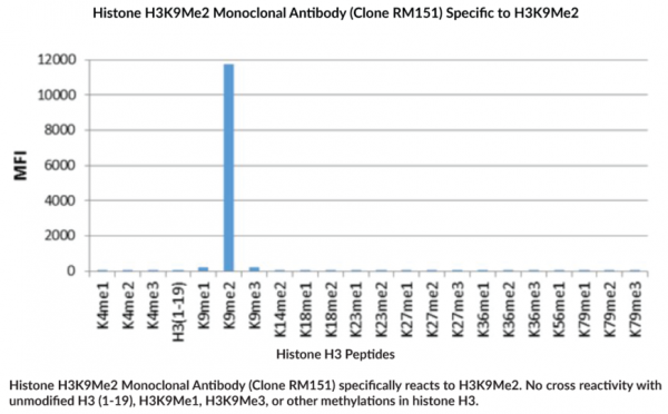 Anti-Histone H3K9Me2 (Clone RM151)