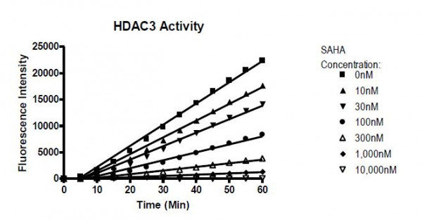 HDAC3 Kinetic Assay Kit