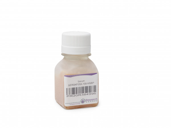 Frozen human serum from whole human blood - male donor - 5 day delivery