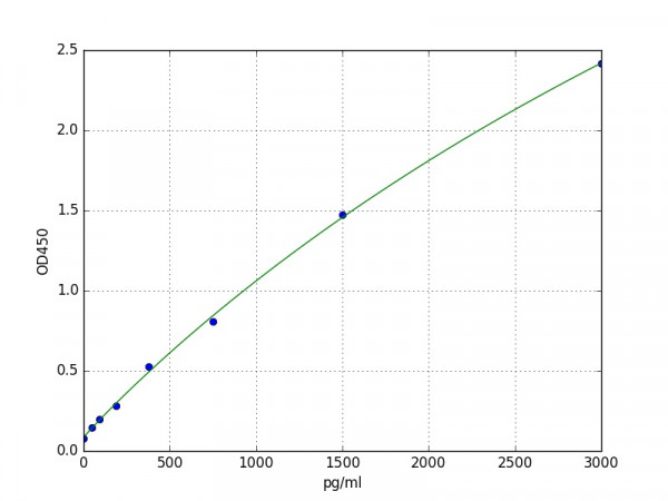 Human F12 (Coagulation Factor XII) ELISA Kit
