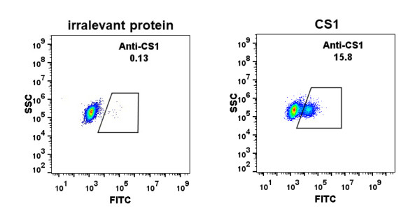 Anti-CS1 antibody(DM9), Rabbit mAb