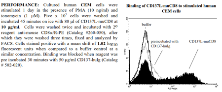 CD137L -muCD8 Fusion Protein, (human)