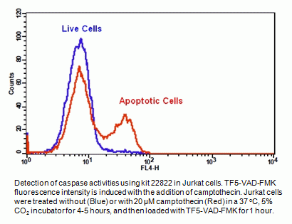 Cell Meter(TM) Generic Fluorometric Caspase Activity Assay Kit *Optimized Red Fluorescence for Flow