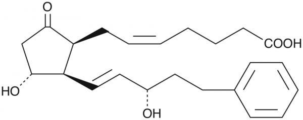 17-phenyl trinor 8-iso Prostaglandin E2