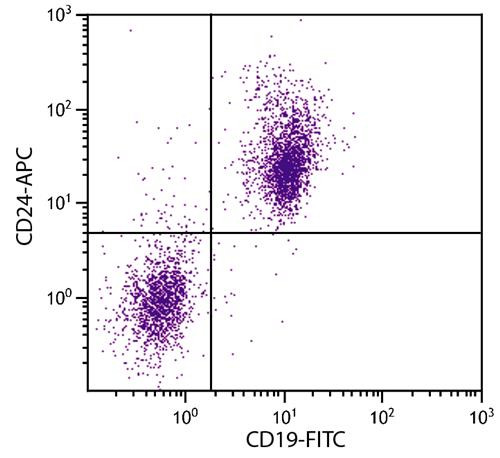 Anti-CD24 (APC), clone 30-F1