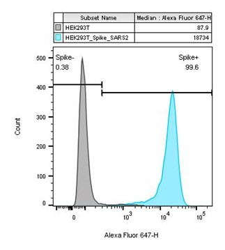 HEK293T/Spike Stable Cell Line