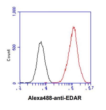 Anti-EDAR, clone 19E8