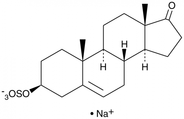 Dehydroepiandrosterone Sulfate (sodium salt)