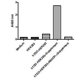 hTDO-HEK293 Recombinant Cell line