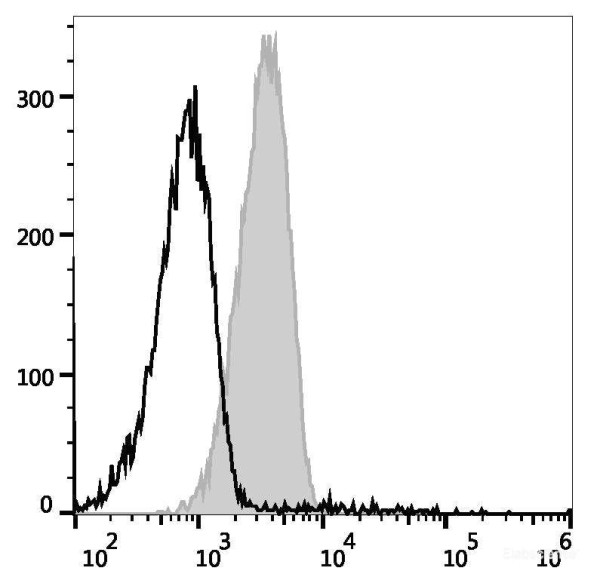 Anti-Mouse CD119, PE conjugated, clone GR-20