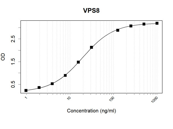 Anti-Human VPS8 Antibody Pair