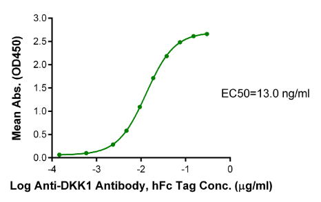 DKK1 C terminal Domain mFc Chimera, Human