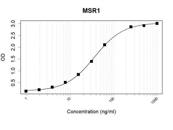Anti-Human MSR1 Antibody Pair