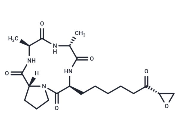HC Toxin