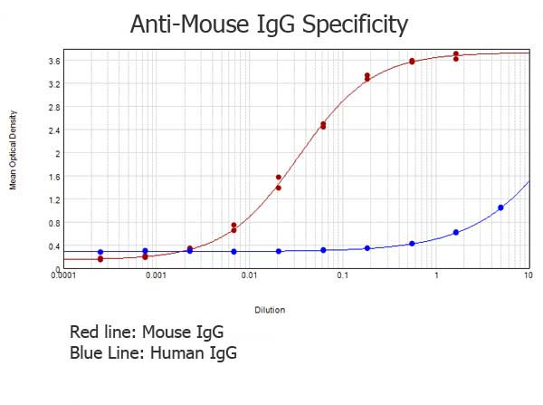 Anti-Mouse IgG (H&amp;L) [Rabbit] (Min X Human serum proteins)
