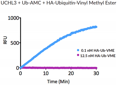 HA-Ubiquitin-vinyl methyl ester (human) (rec.) (HA)
