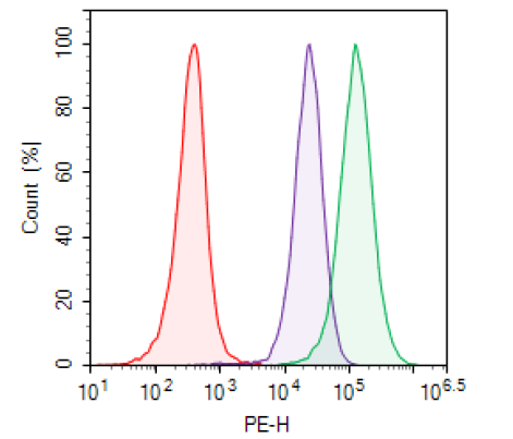 CD20 CHO Recombinant Cell Line (Medium Expression)
