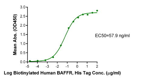BAFFR/TNFRSF13C[Biotin], His &amp; Avi, Human