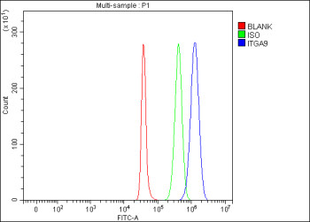 Anti-ITGA9 / Integrin alpha 9