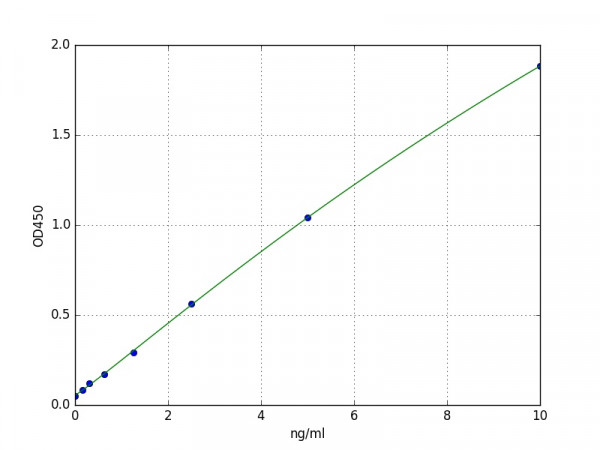 Human Metaxin-3 / MTX3 ELISA Kit