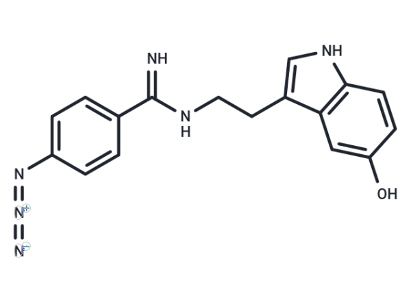 Serotonin azidobenzamidine