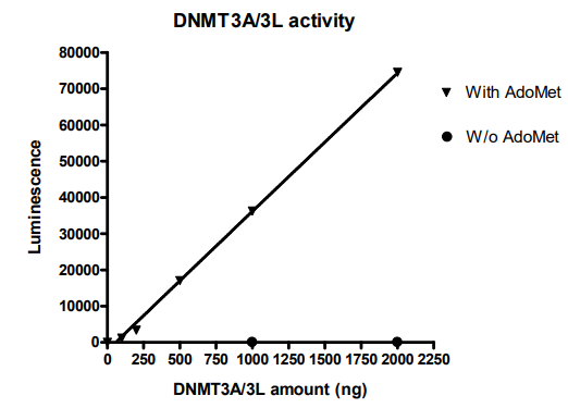 DNMT3A Assay kit