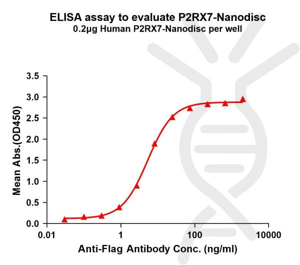 P2RX7 (human) full length protein-synthetic nanodisc