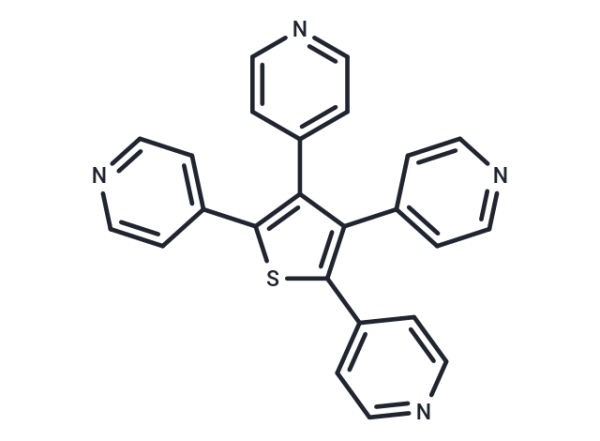 GANT 58