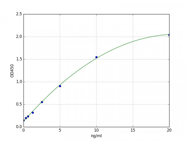 Human Dopamine D2 R / DRD2 ELISA Kit
