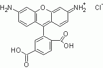 6-CR110 (6-Carboxyrhodamine 110) *Single isomer*