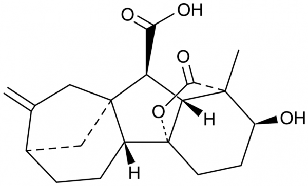 Gibberellin A4